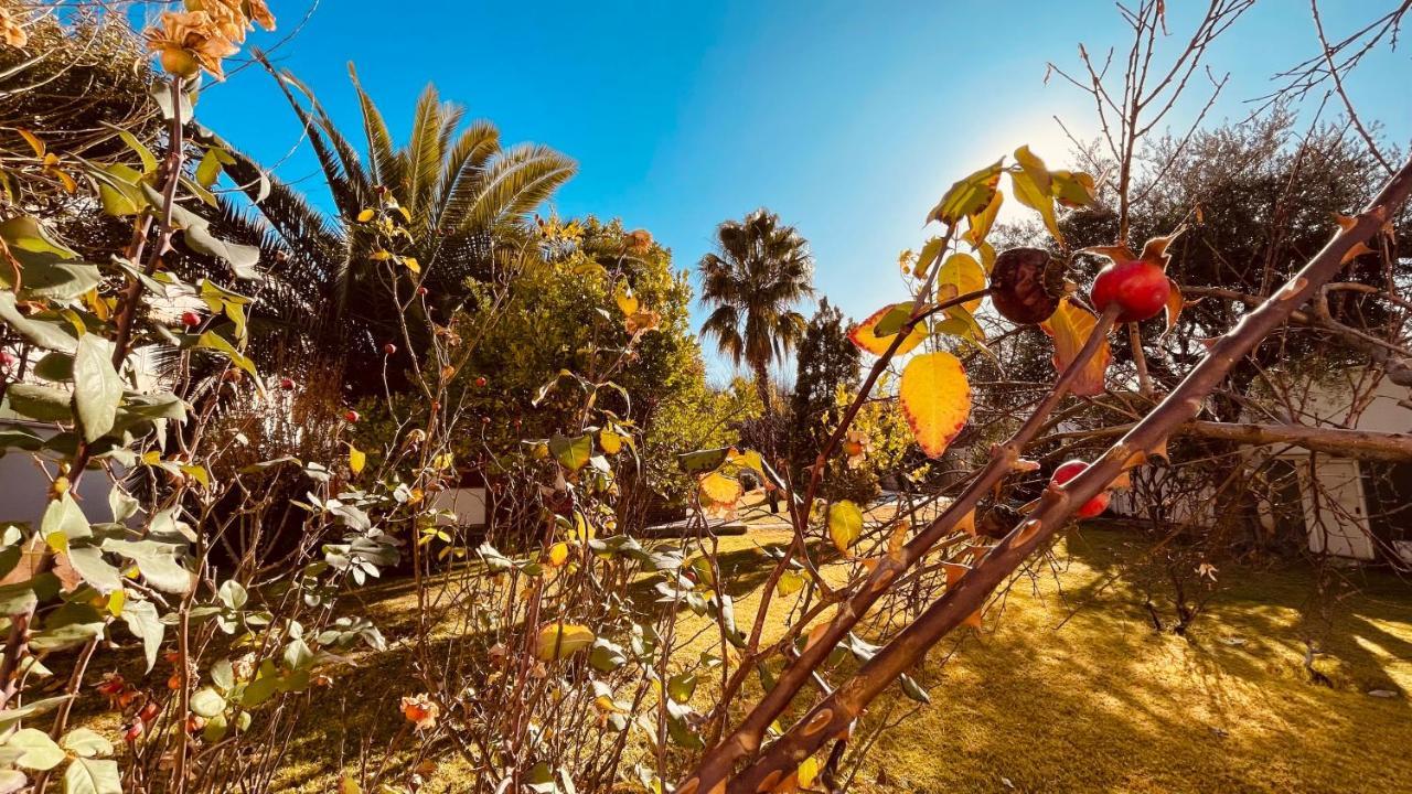Bed and Breakfast Blue Sky Mendoza Exterior foto